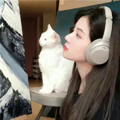 如翼之舟